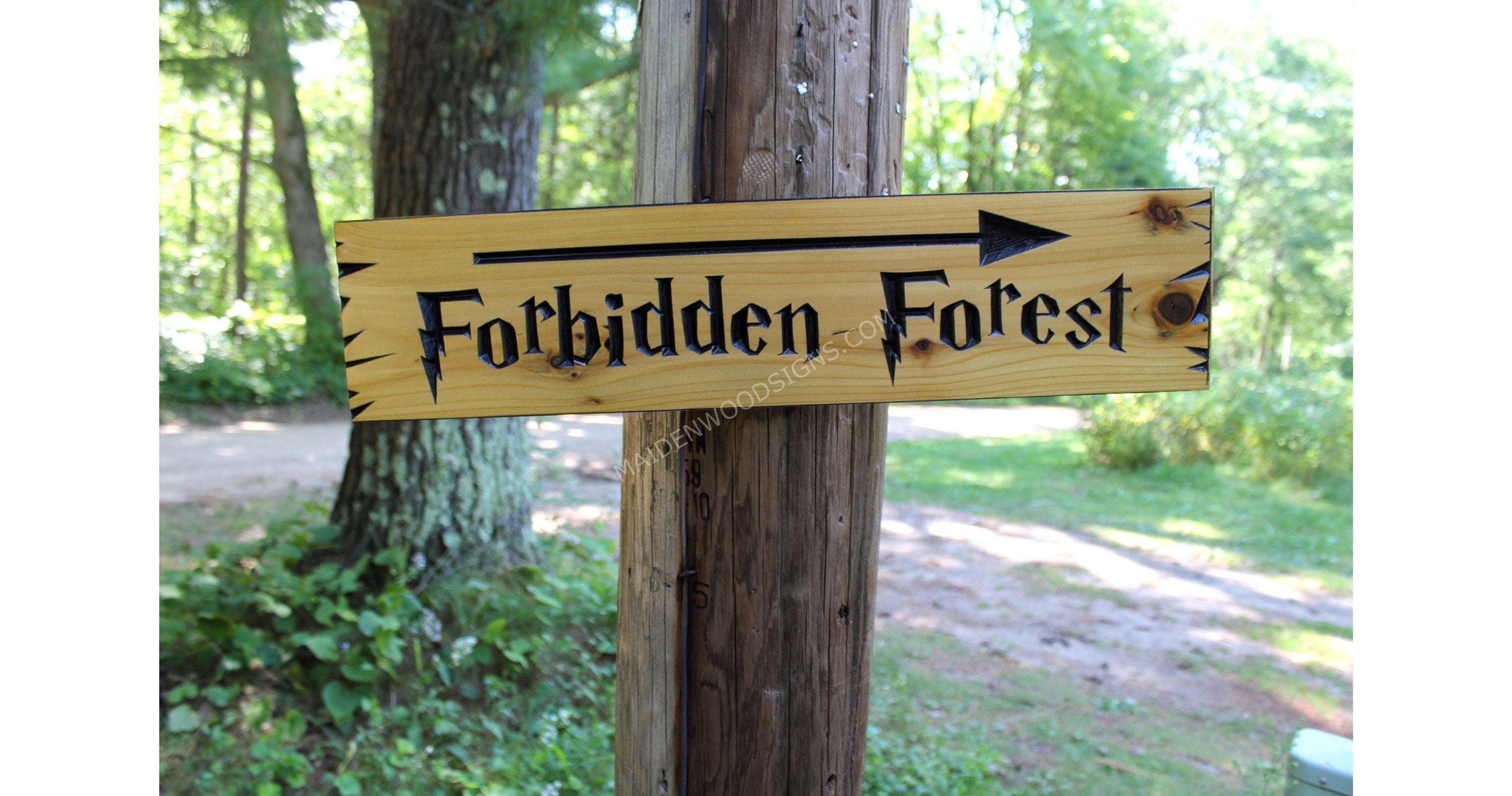 Secret Garden Directional Arrow Sign / Fictional Destination Fantasy Decor / Library Sign Book Lover / Carved Wooden Beach Trail Sign