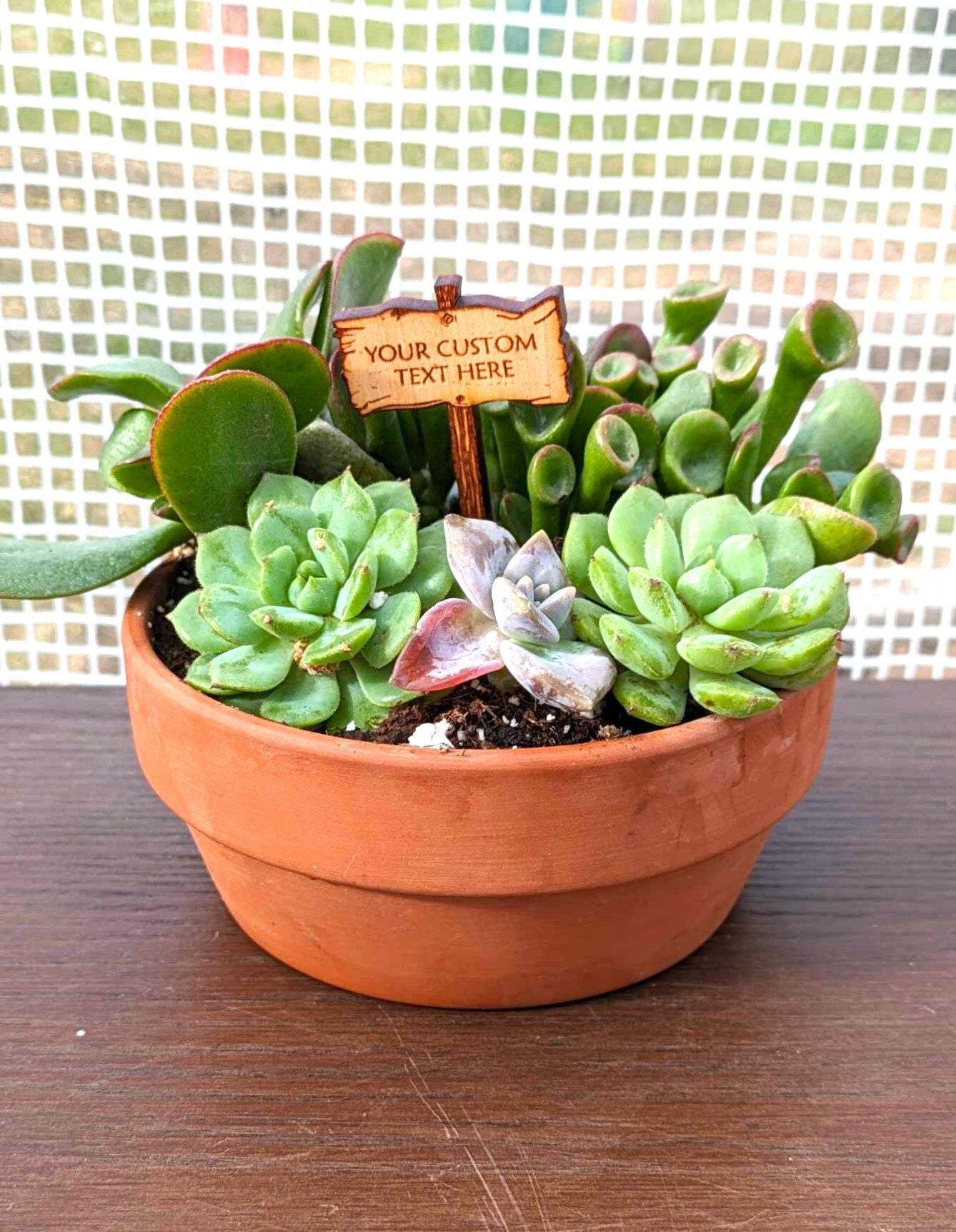Gift For Plant Lover | Custom Sign For House Plant | Small Garden Signs