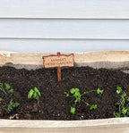 Gift For Plant Lover | Custom Sign For House Plant | Small Garden Signs