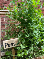 Custom Wooden Garden Signs | Personalized Garden Decor | Unique Outdoor Signage for Home & Garden