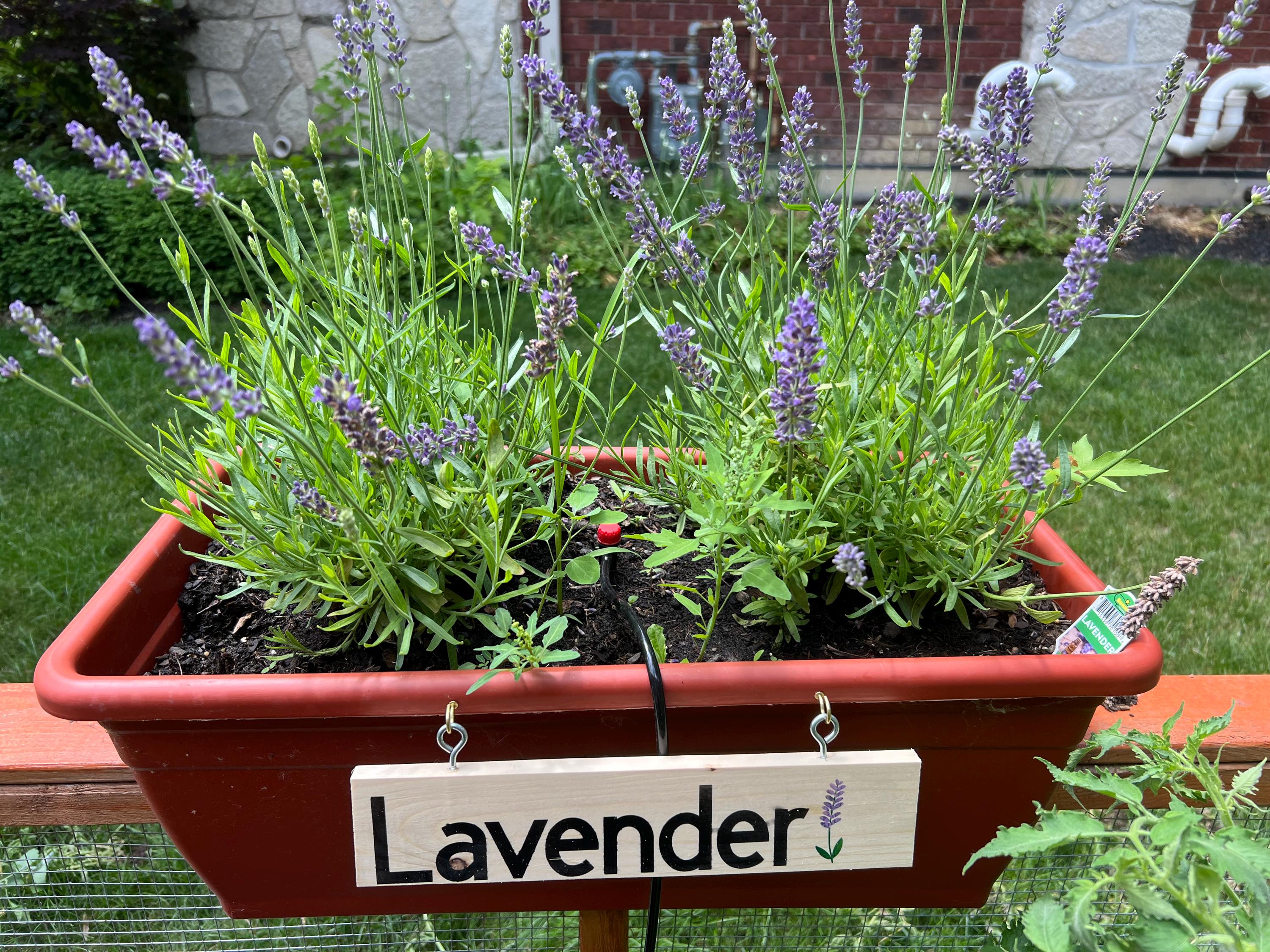 Custom Wooden Garden Signs | Personalized Garden Decor | Unique Outdoor Signage for Home & Garden