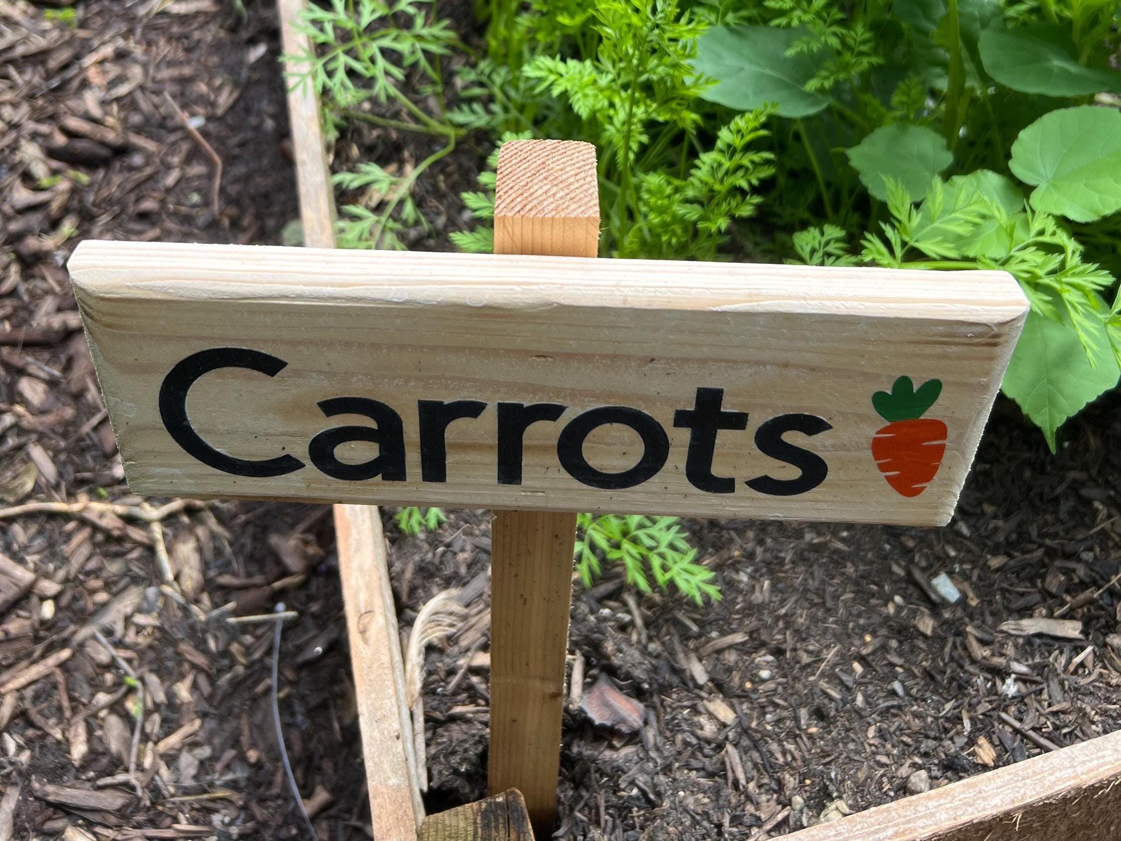 Custom Wooden Garden Signs | Personalized Garden Decor | Unique Outdoor Signage for Home & Garden