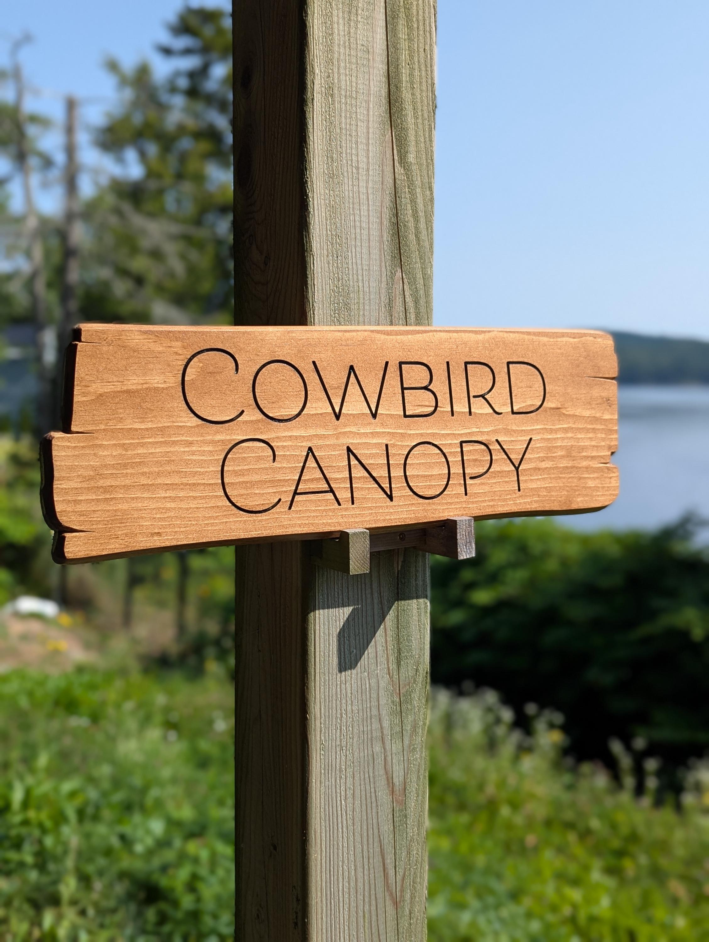 Personalized rustic carved outdoor sign, perfect for Home, Ranch, Cabin, Cottage, Street, Garden, Patio or Summer Camps