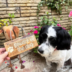 Beware of the Dog sign